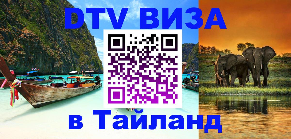 Оформление DTV визы под ключ: стоимость и тарифы, только загранпаспорт - 